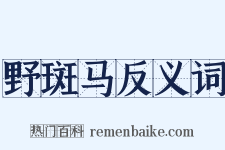 野斑马反义词是什么意思的图片